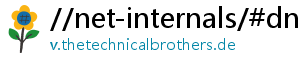 //net-internals/#dns